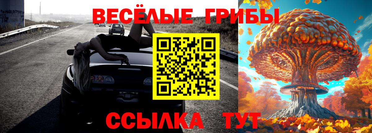 Кириши  Псилоцибиновые грибы Magic Shrooms  Вход с VPN  Галлюциногенные грибы Psilocybe 